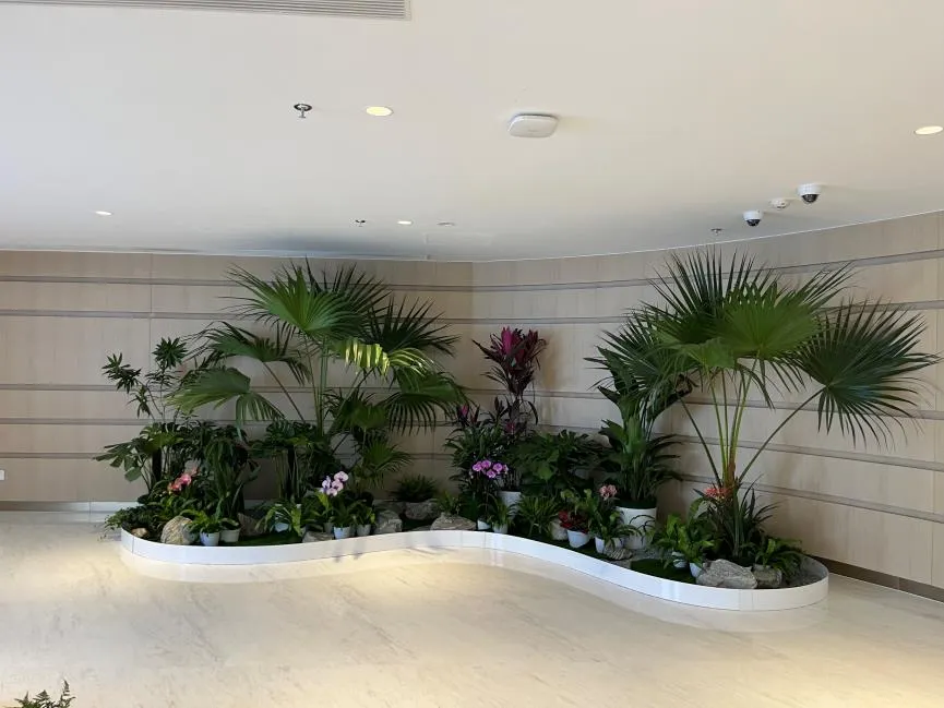 领略宁波余姚盆景出租设计，装点生活新风貌><div class=